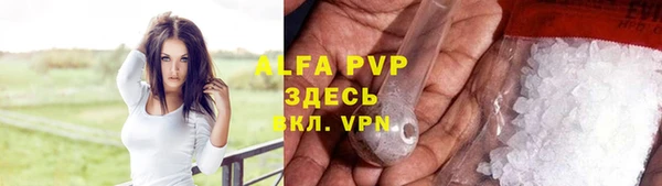 ПСИЛОЦИБИНОВЫЕ ГРИБЫ Верея