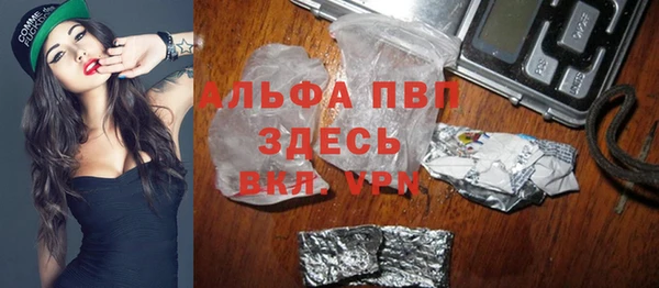ПСИЛОЦИБИНОВЫЕ ГРИБЫ Верея