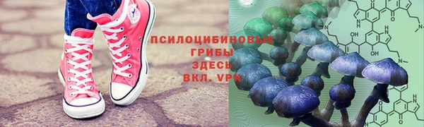 ПСИЛОЦИБИНОВЫЕ ГРИБЫ Верея