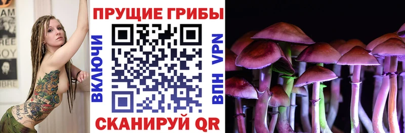 Псилоцибиновые грибы мицелий  Купить  Новосиль 